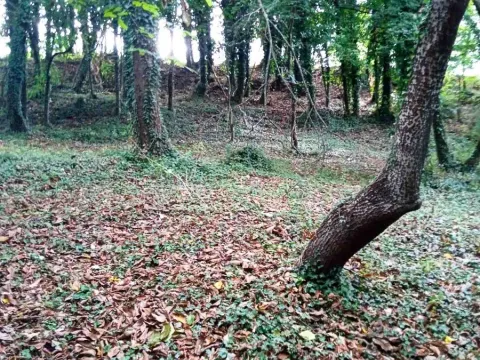 Sale, land lot, 4700m², Danilovgrad, Crna Gora - image 8