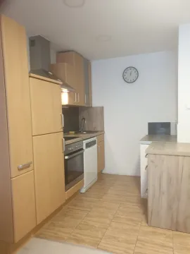 Manja kuhinja sa drvenim elementima i ugradnim uređajima. - image 14