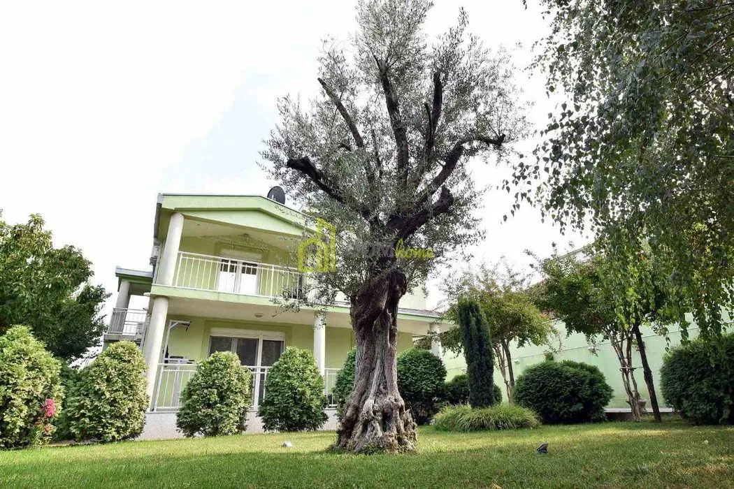 Rent, house, 175m², Podgorica, Crna Gora