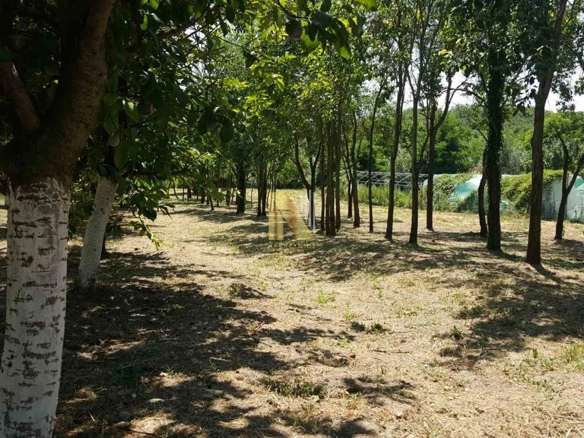 Prodaja, kuća, 65m², Čortanovci, Inđija