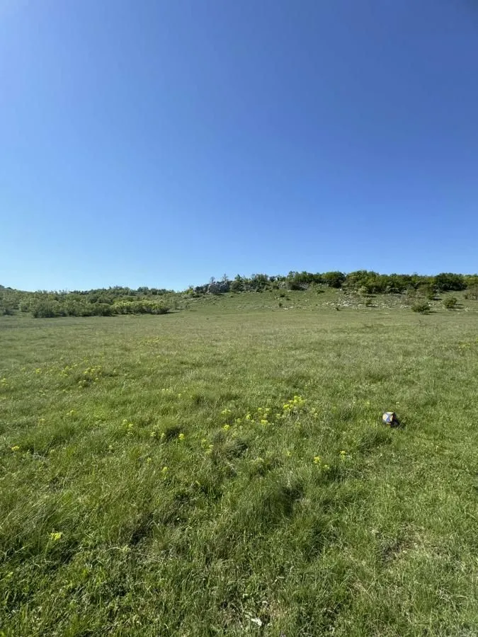 Prodaja, plac, 33000m², Radovče, Podgorica