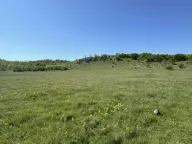  Land Lot for Sale, 33000m2, Radovče, Podgorica