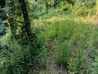 Prodaja, plac, 1589m², Utjeha, Bar - image 5