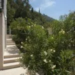 Sale, four bedroom apartment, 400m², Petrovac, Budva - image 9