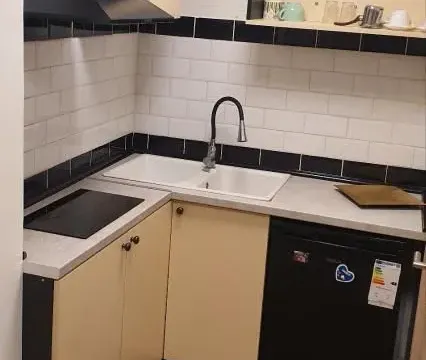 Izdavanje, dvosoban stan, 40m², Gradić, Petrovaradin - image 6