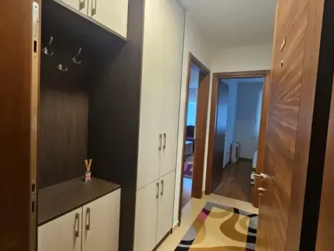 Izdavanje, jednosoban stan, 43m², Tološka šuma, Podgorica - image 10