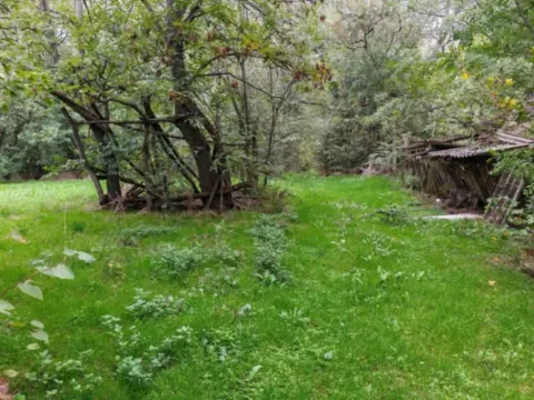 Prodaja, plac, 33900m², Velika Ivanča, Mladenovac - image 8