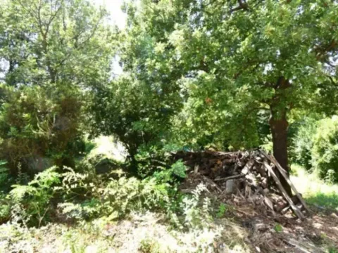 Prodaja, plac, 300m², Tivat, Crna Gora - image 8