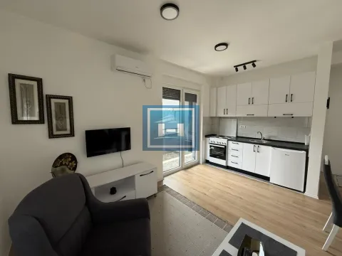 Izdavanje, dvosoban stan, 52m², Centar, Jagodina - image 3