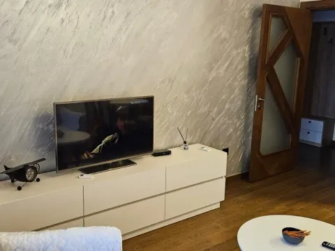 Izdavanje, jednosoban stan, 48m², Stara Varoš, Podgorica - image 12