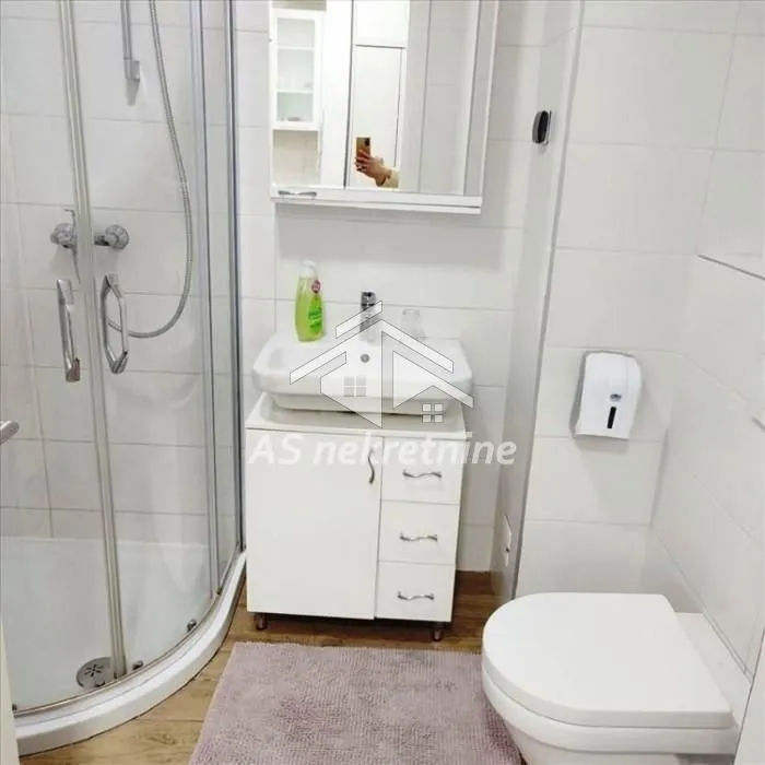 Izdavanje, stan, 38m², Novi Beograd Blok 67, Novi Beograd Sve Podlokacije