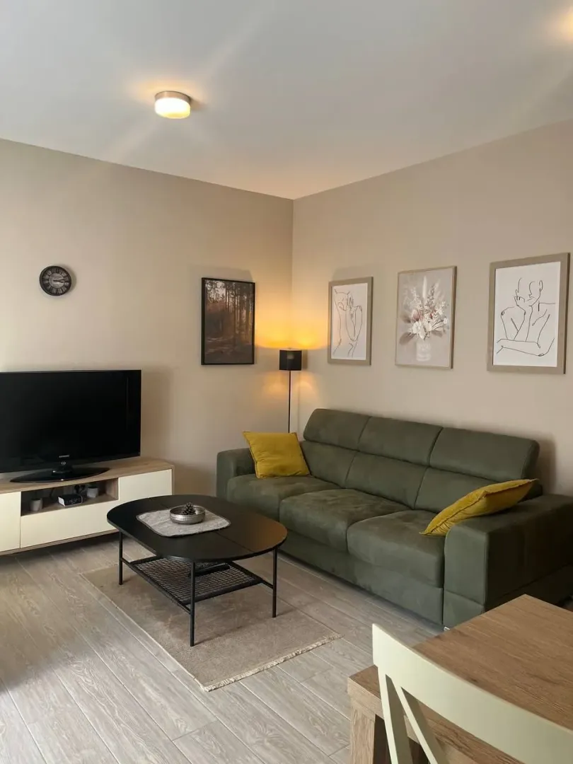 Rent, one bedroom apartment, 45m², Bečići, Budva