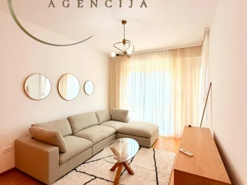 Rent, one bedroom apartment, 47m², Zabjelo, Podgorica - image 4