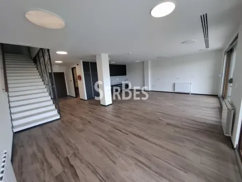 Izdavanje, poslovni prostor, 314m², Liman 3, Novi Sad Sve Podlokacije - image 3