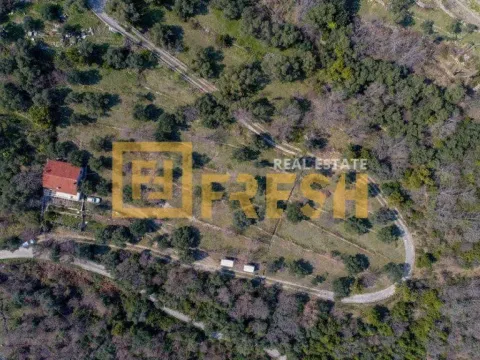 Prodaja, plac, 7125m², Herceg Novi, Crna Gora - image 7
