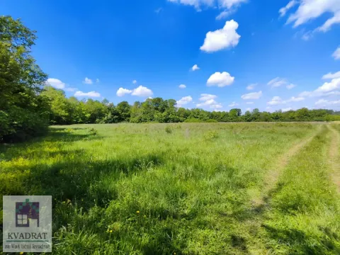 Prodaja, plac, 5500m², Draževac, Obrenovac - image 4