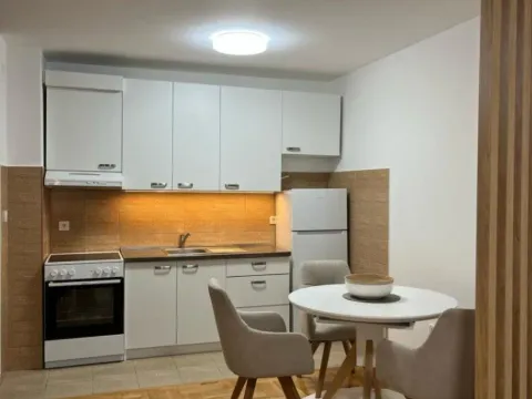 Izdavanje, jednosoban stan, 42m², Central Point, Podgorica - image 4