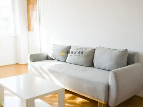 Izdavanje, dvosoban stan, 53m², Novi Beograd Blok 21, Novi Beograd Sve Podlokacije - image 2