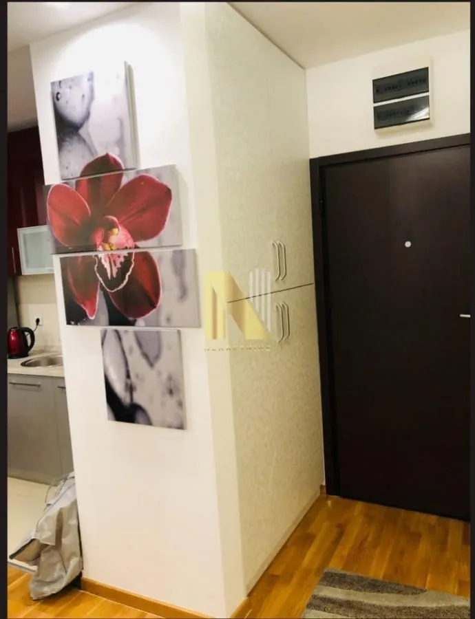 Izdavanje, dvosoban stan, 41m², Centar, Novi Sad