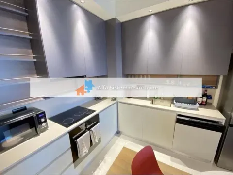 Izdavanje, dvosoban stan, 71m², Savski Venac, Beograd - image 8