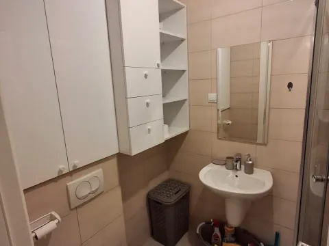 Rent, one bedroom apartment, 33m², Zabjelo, Podgorica - image 7