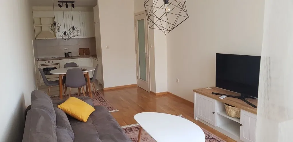 Rent, one bedroom apartment, 46m², Vezirov Most, Podgorica