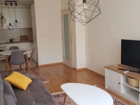 Rent, one bedroom apartment, 46m², Vezirov Most, Podgorica - image 1