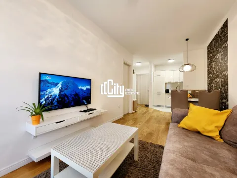 Rent, one bedroom apartment, 42m², Central Point, Podgorica - image 9