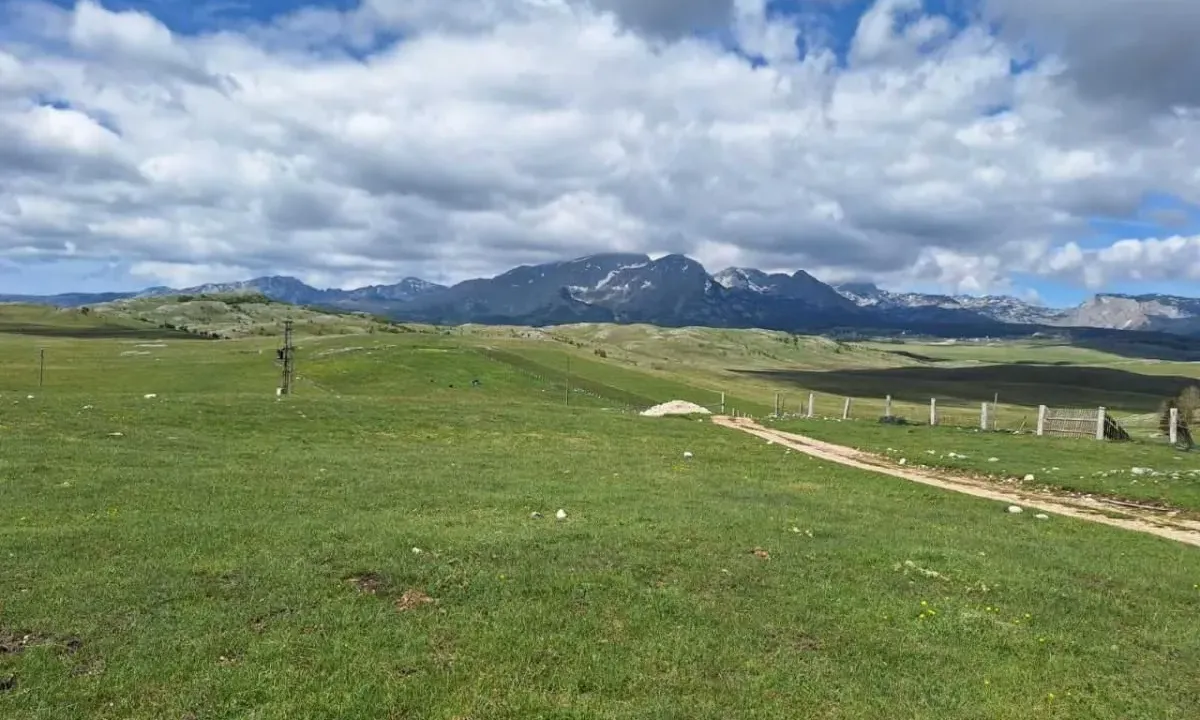 Sale, land lot, 6300m², Borje, Žabljak