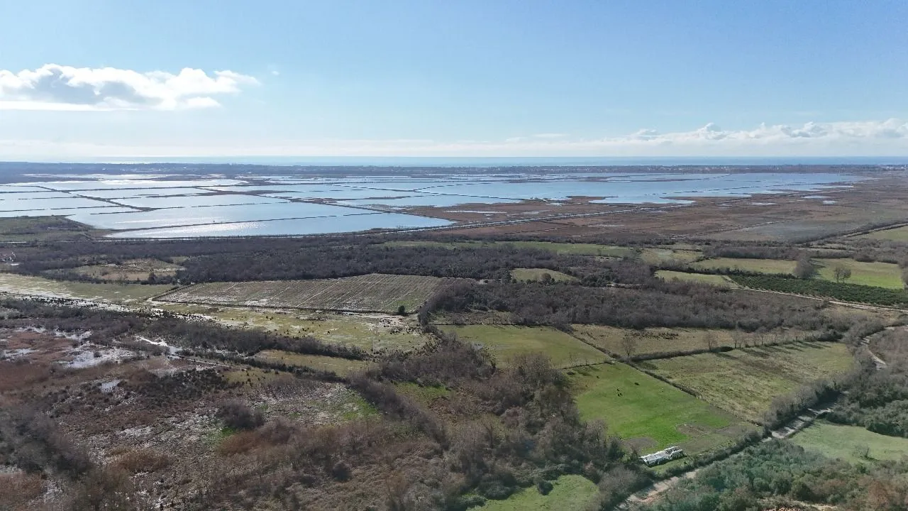 Prodaja, plac, 6000m², Darza, Ulcinj