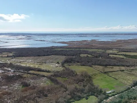 Sale, land lot, 6000m², Darza, Ulcinj