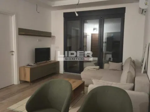 Izdavanje, dvosoban stan, 40m², Južni Bulevar, Vračar Sve Podlokacije - image 7