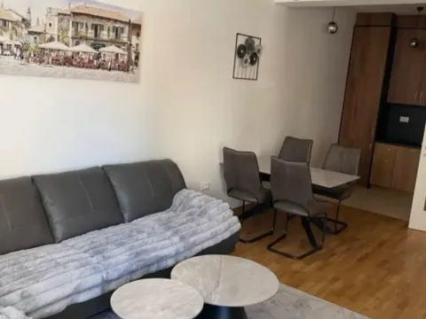 Izdavanje, jednosoban stan, 55m², Zabjelo, Podgorica - image 2