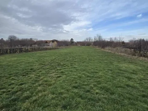 Prodaja, plac, Bački Petrovac, Novi Sad - image 15