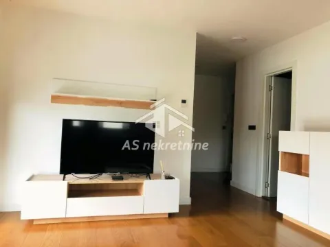 Izdavanje, stan, 69m², Južni Bulevar, Vračar Sve Podlokacije - image 7