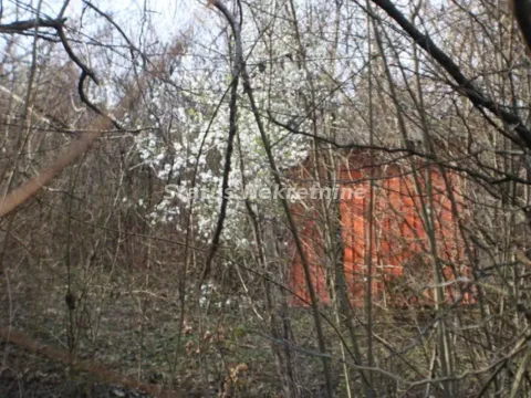 Sale, land lot, 3000m², Ledinci, Petrovaradin - image 6