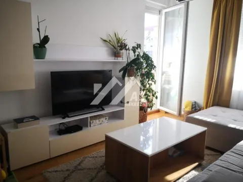 Rent, one bedroom apartment, 43m², Nova Detelinara, Novi Sad Sve Podlokacije - image 3