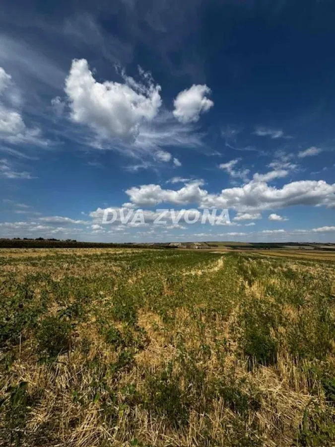 Prodaja, plac, 11510m², Čortanovci, Inđija