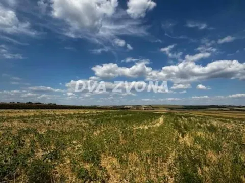 Sale, land lot, 11510m², Čortanovci, Inđija - image 2