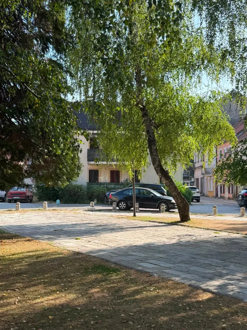 Izdavanje, dvosoban stan, 82m², Centar, Cetinje