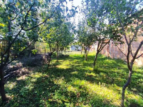 Sale, land lot, Stari Tamiš, Pančevo
