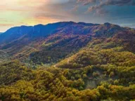 Prodaja, plac, 76561m², Plužine, Crna Gora - image 2