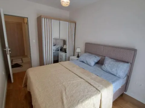 Izdavanje, jednosoban stan, 46m², Central Point, Podgorica - image 3