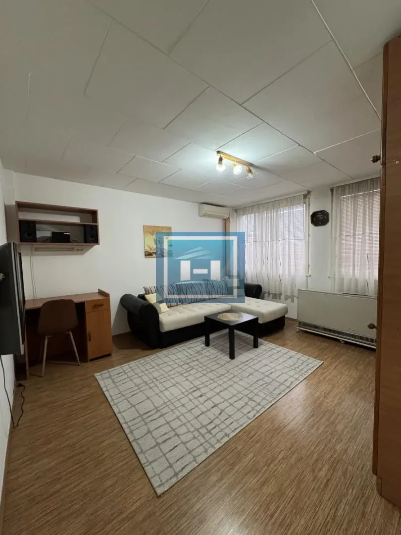 Living room with a sofa, desk, and rug.