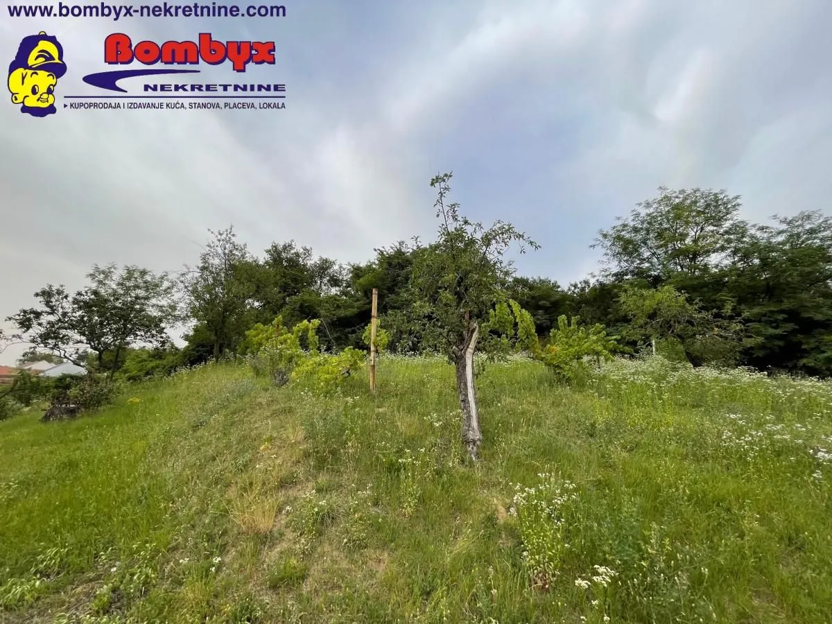 Prodaja, kuća, 180m², Sremska Kamenica, Petrovaradin