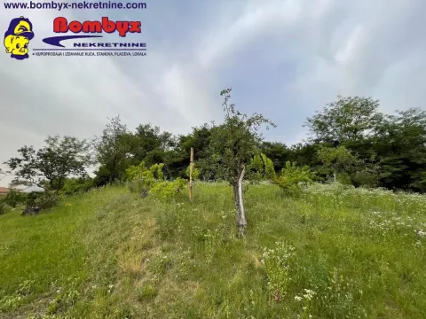 Prodaja, kuća, 180m², Sremska Kamenica, Petrovaradin - image 9