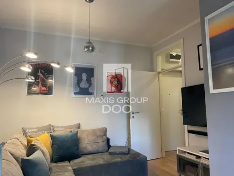 Izdavanje, jednosoban stan, 46m², Stari Grad, Beograd - image 2