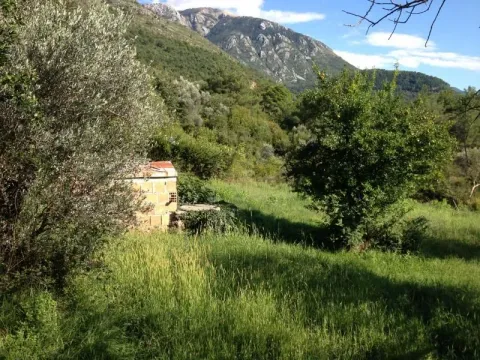 Sale, land lot, 800m², Kavač, Kotor