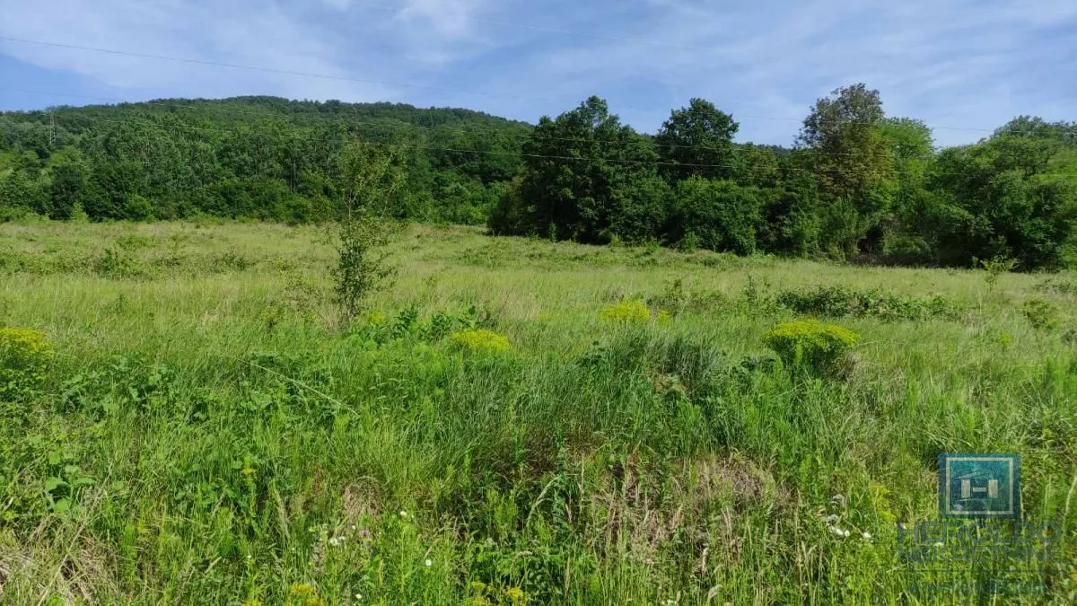 Prodaja, plac, 216600m², Resavica (varošica), Despotovac