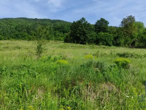 Prodaja, plac, 2166m², Resavica (varošica), Despotovac - image 9